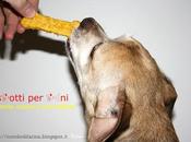 Biscotti cani, mele, carote riso soffiato