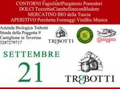 Vendemmia Trebotti (Castiglione Teverina) sarà @MinimoImpatto