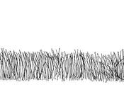 rotonda perfezione della felicità ricercarla