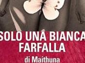 Solo bianca farfalla Maithuna