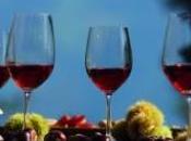 NEWS. DOLOMITI.IT: Lagundo l’anteprima WineFestival 2013. Presentazione vini degusteranno nella kermesse meranese primizie chilometro zero.