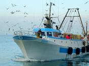 Liberato dalla Tunisia peschereccio Mazara "Cartagine". Ammenda 21.000 euro