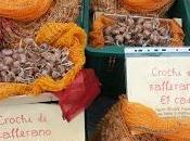 Ricette Salute Pennabbilli (Rn)per sesta edizion...