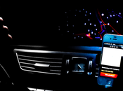 Sali bordo Woman Bride