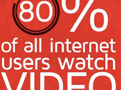 statistiche 2013 video marketing