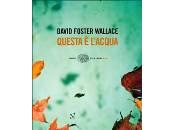 Questa l’acqua David Foster Wallace