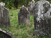 Nudi cimitero