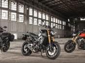 Concessionari Ufficiali diapason aspettano provare Yamaha MT-09