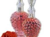 Rosolio rose)