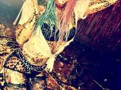Kesha foto scandalose appaiono