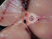 Controlli della Guardia Costiera Terrasini