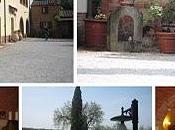 Rapolano terme