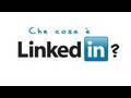 cosa LinkedIN?