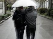 Ombrelli Umbrellas