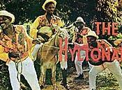 Belle paciarotte italiche