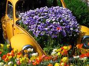 Auto creative? emissioni zero? Eccole come vasi fiori giardini mobili