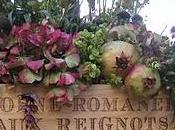 fiori recisi passione