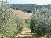 Promozione della Toscana delle pratiche buona agricoltura. convegno alla Villa Medicea Cerreto Guidi degustazioni ToscanaIn