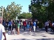 Considerazioni sparse