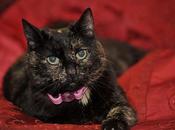 Foto giorno gennaio 2011 ritrova atto dopo anni