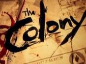 Colony