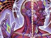 Molti dicevano visionario...