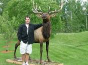 Animali robotici contro bracconieri