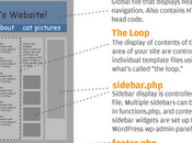 Anatomia tema WordPress info-grafico