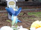 giornali neonato morto Bologna: Quante sciocchezze!