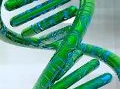 Epigenetica ovvero perché geni sono nostro destino
