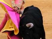 Corrida diventerà patrimonio dell’umanità