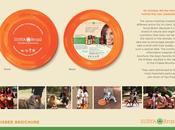 Surya: frisbee brochure