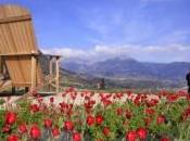 NEWS. FOTONOTIZIA: “Troni Trauttmansdorff” ammirare Lagundo. sedie giganti larice posizionate leggendario punto panoramico della Claudia Augusta.