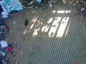 Aurelia. Dove anche turisti campeggio hanno paura stare