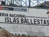 Isole Ballestas Parco Nazionale Paracas
