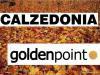 Calzedonia Golden Point l’Autunno-Inverno 2013/2014