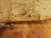 Pane Bianco Lievito Madre World Bread 2013