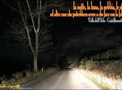 cose potrebbero avere fare felicità