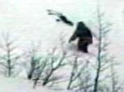 Yeti esiste, ominide”