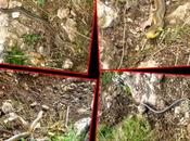 "Snake Tour" ovvero...uscita 18/10, 2013