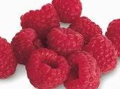 Coltivazione lampone