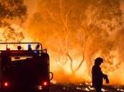 Incendi Australia. Stato emergenza