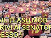 Mail flash mob! scrivi senatori adesso!