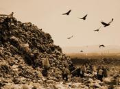 Film-doc stasera sulle gratuite: WASTE LAND (mercoledì ottobre 2013)