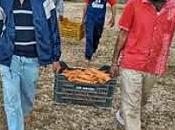 Cronache pazzie quotidiane