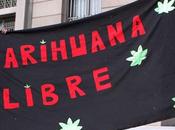 Marijuana legale uruguay, contro narcotraffico