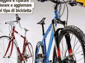 manutenzione della bici...