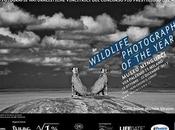 Milano foto selezionate premio Wildlife Photographer Year