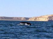 Quello succede dall'altra parte globo....