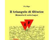 ricordo Bigo: triangolo Gliwice: memoria sette lager"